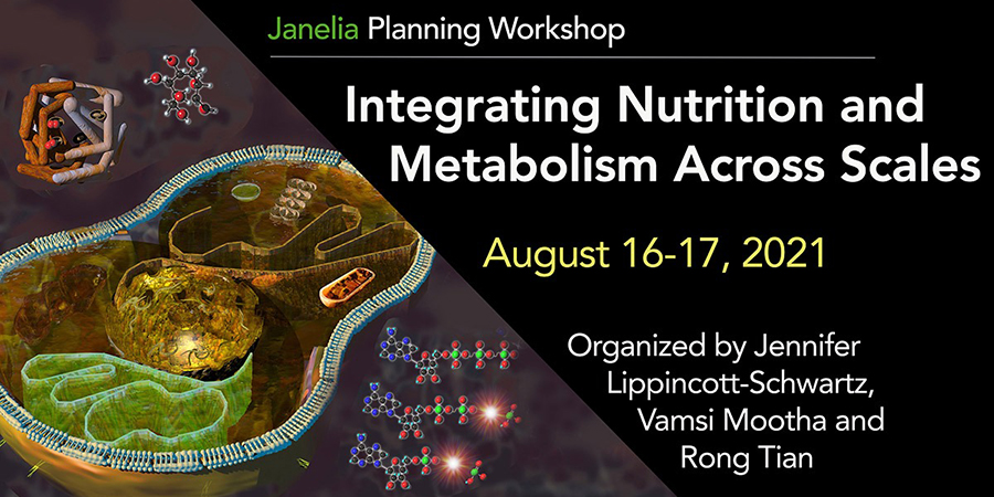 Integrating Nutrion and Metabolism Across Scales 